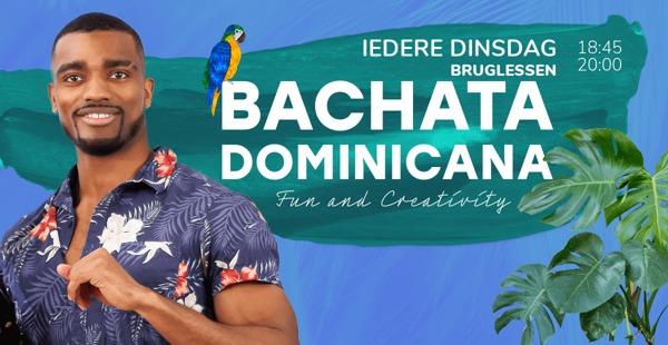 Proefles Bachata Dominicana beginners: Esencia Dance Studio te Hilversum